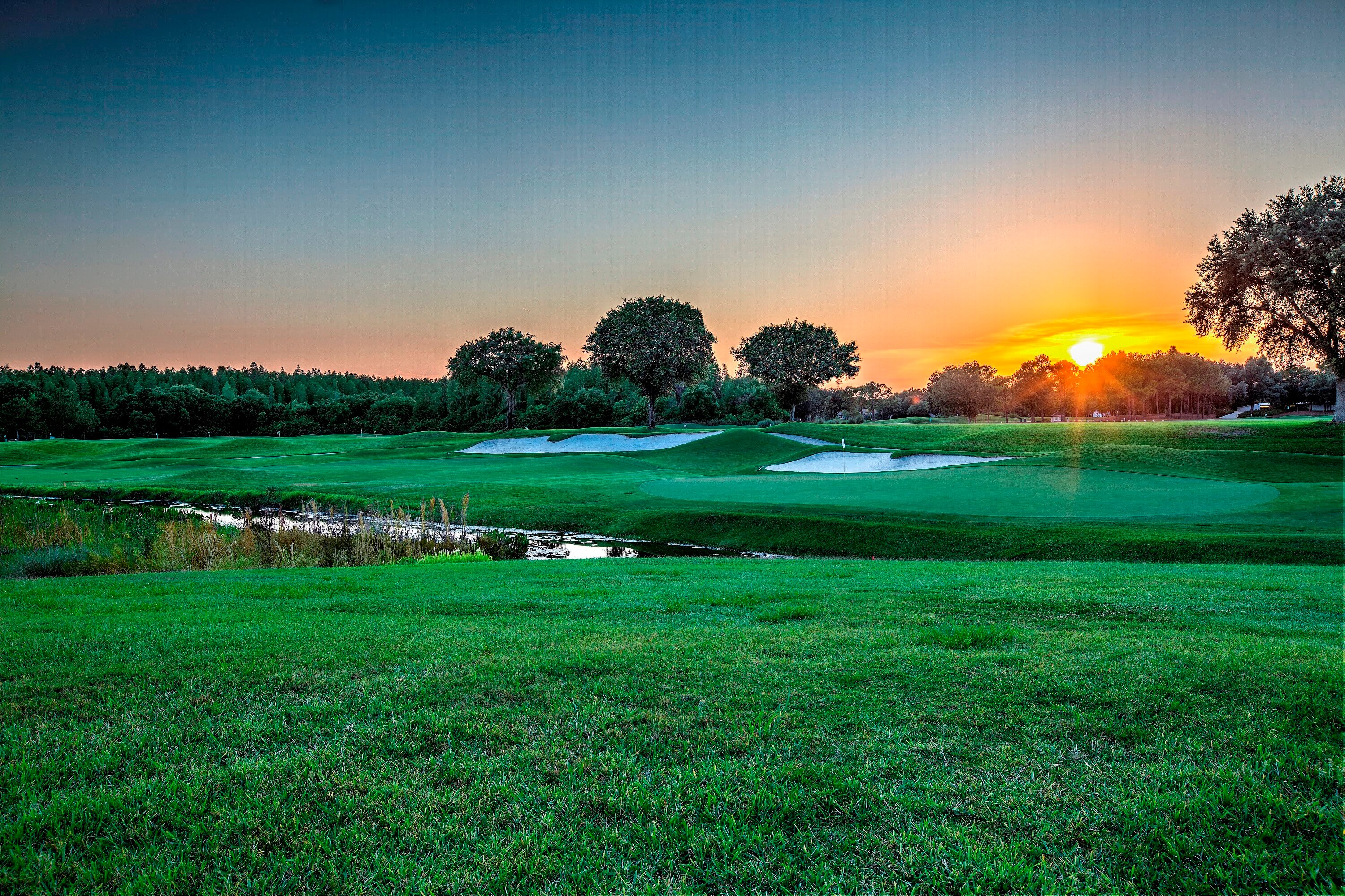 Experience Championship Golf TPC Tampa Bay